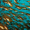 Glassfish